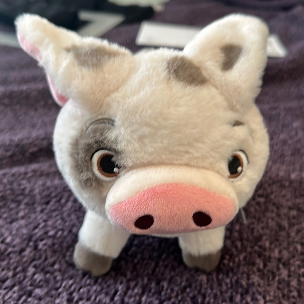 Pua plushy - Disney’s Moana